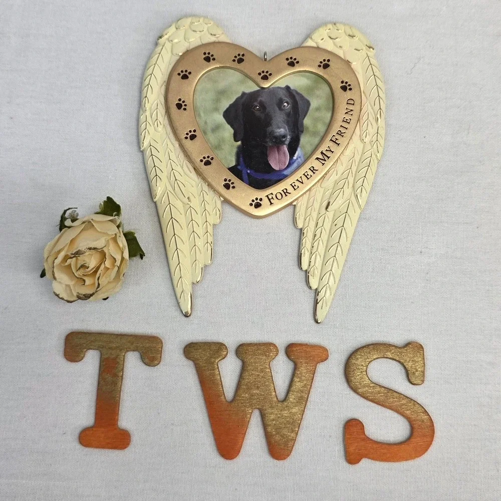 Hallmark 2020 Forever My Friend Angel Wings Heart Pet Memorial Photo Ornament